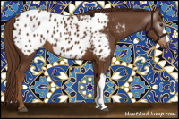 Horse Color:Gray Chestnut Blanket 