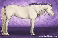 Horse Color:Perlino 