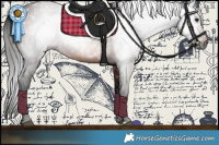 Horse Color:Gray Bay