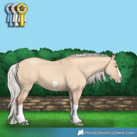 Horse Color:Silver Classic Champagne Dun Splash Frame 