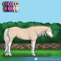 Horse Color:Silver Classic Champagne Dun Splash Frame 