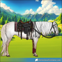 Horse Color:Gray Chestnut 