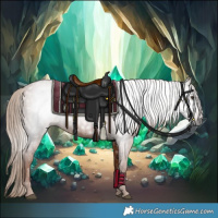 Horse Color:Gray Chestnut 