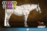 Horse Color:Gray Silver Grullo Pearl Snowflake Varnish Rabicano Brindle 