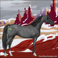 Horse Color:Blue Roan 