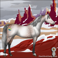 Horse Color:Gray Bay 
