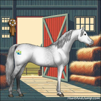 Horse Color:Gray Black 