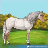 Horse Color:Silver Blue Roan Pearl Tobiano Frame 
