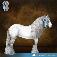 Horse Color:Gray White Spotted Silver Smoky Blue Roan Appaloosa Rabicano