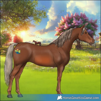 Horse Color:Chestnut 