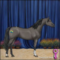 Horse Color:Grullo Tobiano 