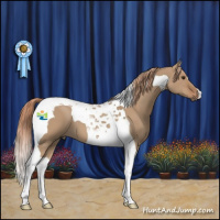 Horse Color:Red Dun Tobiano 