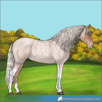 Horse Color:Silver Blue Roan Pearl Tobiano Frame 
