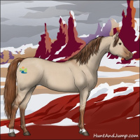 Horse Color:Red Dun Roan Rabicano 