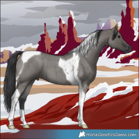 Horse Color:Grullo Roan Tobiano 