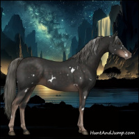 Horse Color:White Spotted Liver Chestnut Mushroom 