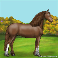 Horse Color:Gray Chestnut Varnish 