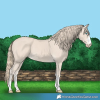 Horse Color:Smoky Creme 