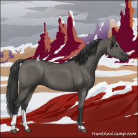 Horse Color:Grullo Tobiano