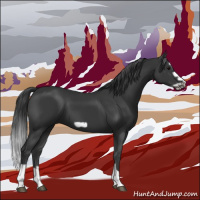 Horse Color:Black Splash Frame