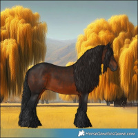 Horse Color:Gray Brown 