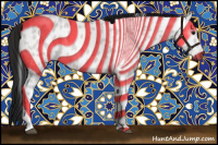 Horse Color:Gray Bay Appaloosa 