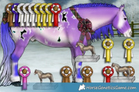 Horse Color:Watercolor Bay Onyx Appaloosa