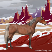 Horse Color:Gray Silver Bay Roan 