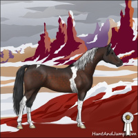 Horse Color:Brown Tobiano 