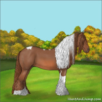 Horse Color:Liver Red Roan Tobiano