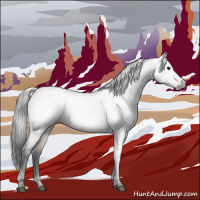 Horse Color:Gray Bay Roan 