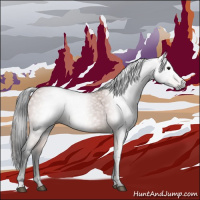 Horse Color:Gray Bay 