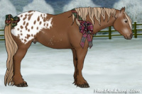 Horse Color:Gray Chestnut Blanket 