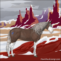 Horse Color:Silver Black Splash 