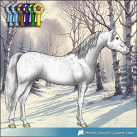Horse Color:White Spotted Silver Blue Onyx Chinchilla Ice Sabino 