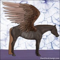 Horse Color:Liver Chestnut Rabicano 