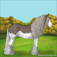 Horse Color:Silver Black Splash 