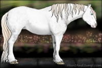 Horse Color:Perlino Ice Dun Tobiano