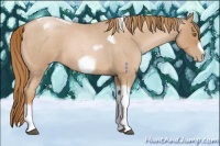 Horse Color:Red Roan Pearl Tobiano Frame