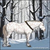 Horse Color:Bay Roan Appaloosa 