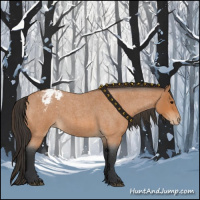 Horse Color:Bay Roan Appaloosa 