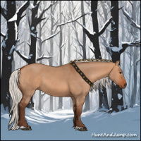 Horse Color:Silver Bay Dun 
