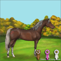 Horse Color:Silver Brown Tobiano Rabicano