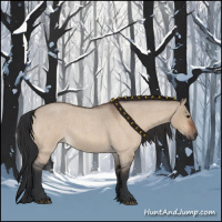 Horse Color:Bay Roan Dun 