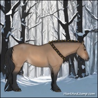 Horse Color:Bay Roan Dun 