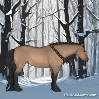 Horse Color:Bay Roan Dun 