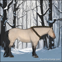 Horse Color:Bay Roan Dun 