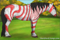 Horse Color:Gray Blue Roan Appaloosa 