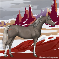 Horse Color:Silver Black 