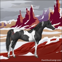 Horse Color:Black Tobiano Rabicano